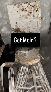 This air handler is full of mold. The condenser coils are disintegrating. It’s 11 years old and on borrowed time. ⏳ If this was YOUR house — do you keep pumping money into repairs… or replace it before it quits when you need it most? Or gets you sick from mold? Tell us: what’s the move? 👇 #MoldInTheSystem #TimeForNew #AirWeGoAC #FloridaACLife #HVACChoices #OldSystemWoes #TechTalkTruth #DelrayBeachCooling | Air We Go Air Conditioning