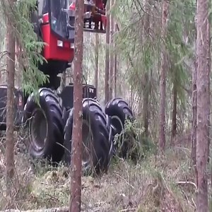 403K views · 884 reactions | Powerful Big Tree Harvester Working | Machinery Technology | Facebook