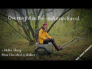Overnight in a autumn forest - Vanessa Blank- 4k