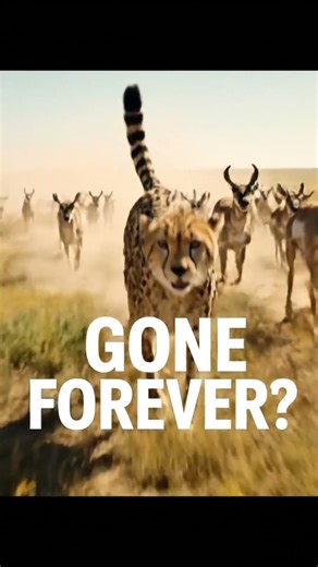 Why Did Earth's Fastest Cat Vanish? #ancientearth #dinosaur #jurassicworld