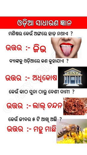 odia gk questions and answers // odia general knowledge #odia #generalknowledge #gkfacts #odisha