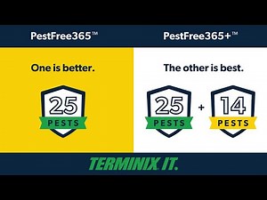 PestFree365™ vs. PestFree365+™: Our year-round pest protection plans