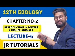 12th Biology | Chapter 2 | Reproduction in Lowers & Higher Animals | Lecture 6 | JR Tutorials |
