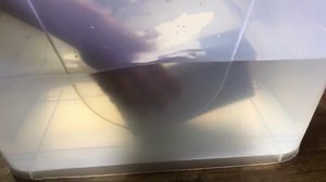 Watch ABS Plastic Electrical Project Box on Amazon Live