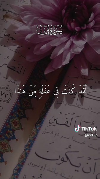 حسابات مقترحة