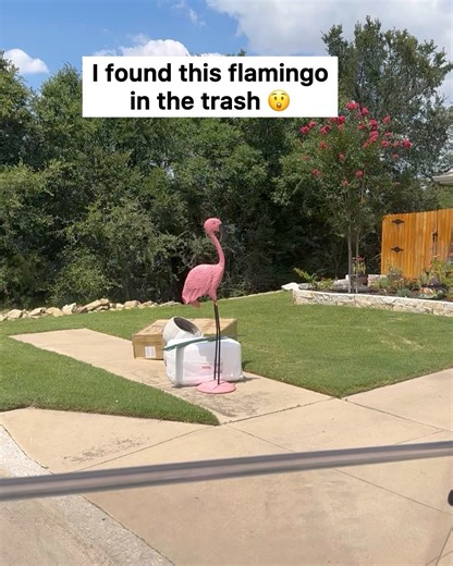 633K views · 13K reactions | I took this free flamingo... but I don't even like yard flamingos. So I turned it into THIS... | Maggie McGaugh | Facebook