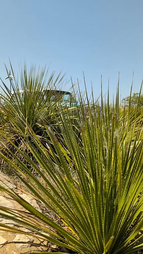 906 reactions · 38 shares | After hundreds of hours of design,...