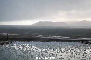 Hail Storm Videos, Download The BEST Free 4k Stock Video Footage & Hail Storm HD Video Clips