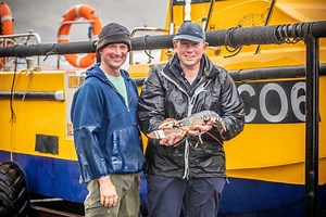 Claw Bands Help Welsh Lobsters Stand Out in the Home Crowd