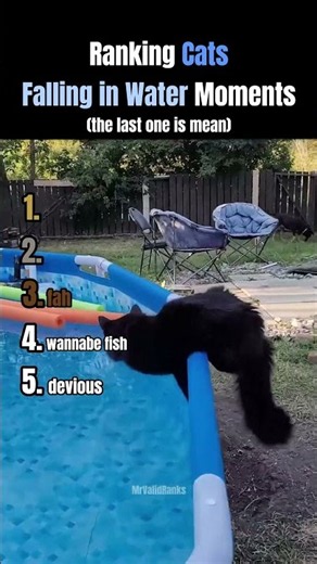 Ranking Cats Falling In Water Moments
