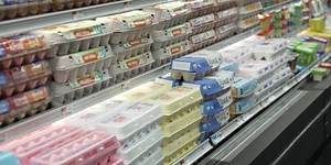 The US is experiencing an egg shortage, here’s why