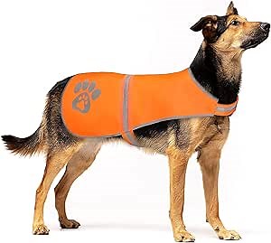SafetyPUP XD Reflective Dog Vest. Hi-Visibility, Fluorescent Blaze Orange Dog Vest Helps Protect Your Best Friend. Safeguard Your PUP from Motorists & Hunting Accidents, On or Off Leash (Medium)