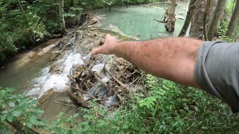 They found a beaver dam that looks like it’s turning to stone in real time