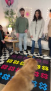 This game is like Twister but for adults and their trauma. Here's the link to play with your people 👉 https://amzn.to/3YtjTlc | What Do You Meme?