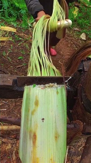 Abaca Fiber Production Process You’ve Never Seen Before