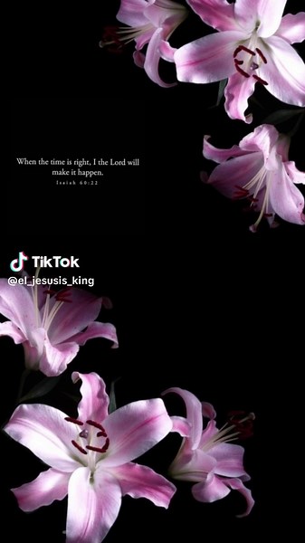 Aesthetic Christian Bible Verses in Floral Designs