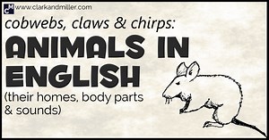 Animals in English (Plus Animal Body Parts and Sounds)