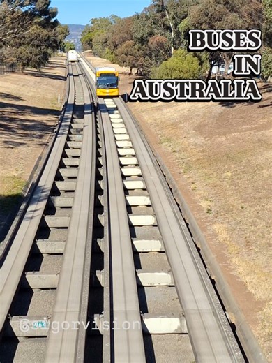 Exploring Buses in Australia: The Adelaide O-Bahn Experience