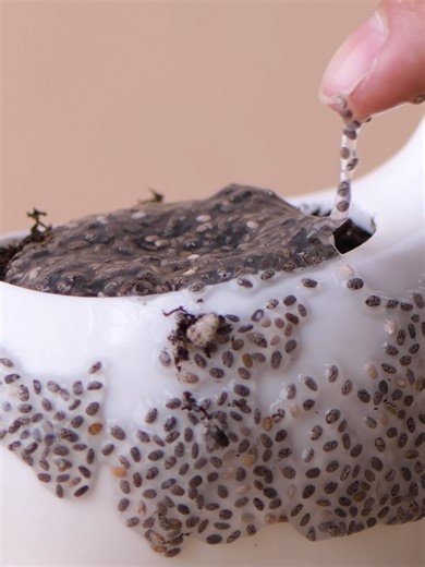 Spring has almost sprung, so break out the chia and start your chia pet journey! #blossom #chiapet #plants #plantlover #chiaseeds