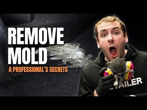 How to Clean Mold Out of Car Interior