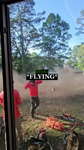 Tree cutting gone wrong...