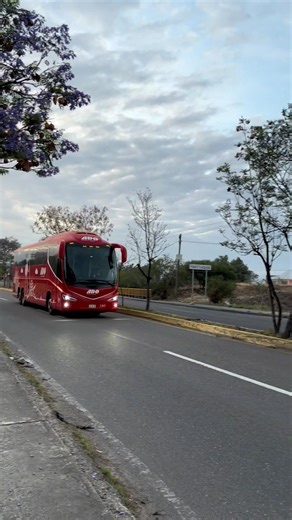 Autobús ADO Siempre Primera #autobus #buses #transporte #mexico #parati