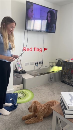 F1 Dog Training Tips with Jenson the Cockapoo