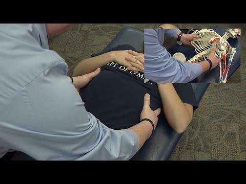 Osteopathic Approach to Diagnosis and Treatment of Dysfunction at the Thoracolumbar Junction