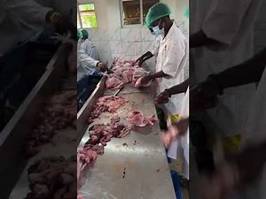 Slaughtering and Processing of Chickens Manually for Medium Scale Poultry farmers.