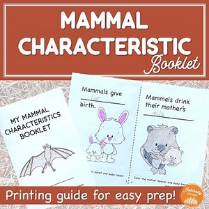 Mammal Characteristic Booklet