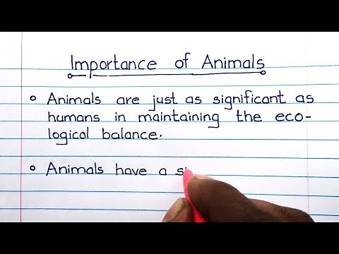 Essay on the Importance of Animals -English essay ‪@doodlejo‬ #essay #english #study