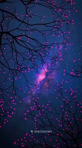 Observable Universe. . #spaceinhindi #spaceexploration #antarikshtv #space #NASA #ISRO | SpaceoNomy