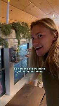 Tiny Spider Keeps Returning So She Built Him A Cozy Home | The Dodo