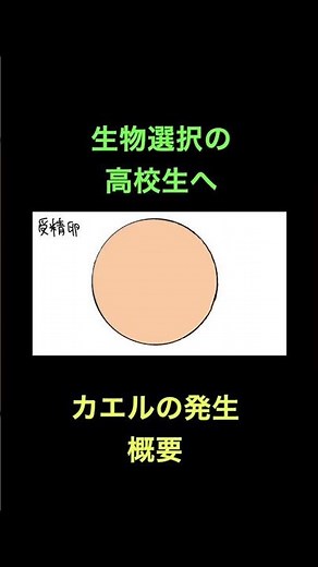 103 カエルの発生（概要）