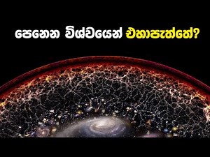පෙනෙන විශ්වයෙන් එහා මොනවා ඇත්ද? | What is beyond the observable universe
