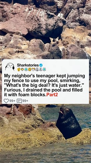4.8K views · 37 reactions | The neighbor's teenager kept jumping my fence to use my pool, smirking, what's the big deal? It's just water. Furious, I drained the pool and filled it with foam blocks. Part 2 .- #reddit #askreddit #redditposts #redditstorytime #reels #aïta #aita | Horror-Stories | Facebook
