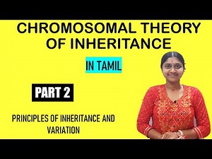 Chromosomal Theory Of Inheritance Part 2 | In Tamil | Class 12