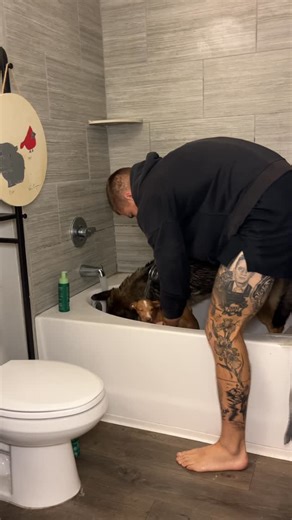 Evan Cooper on Instagram: "I’m not sure if Vader enjoys bath time or not lol"