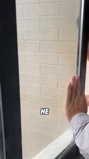 BrightFacts on Instagram: "These people get rid of wasp nests"