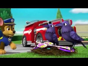 Pups Save the Crows-clip9