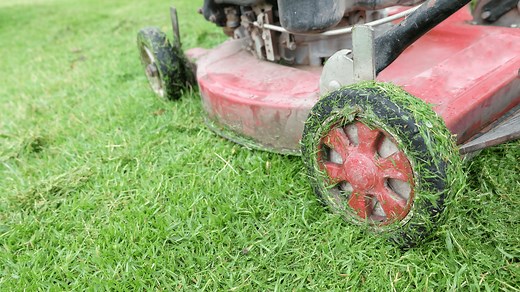 Best Type Of Oil For a Lawn Mower | What Kind Of Oil Does a Lawn Mower Take? - DIY Repair Clinic
