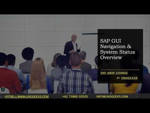 SAP ABAP Training | SAP GUI Navigation & System Status Overview | SAP ABAP Basics