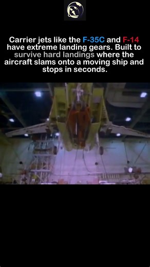 Why Carrier Jets Have Reinforced Landing Gear