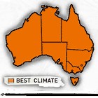 Australian Native Violet - Plant of the Week - Burke's Backyard