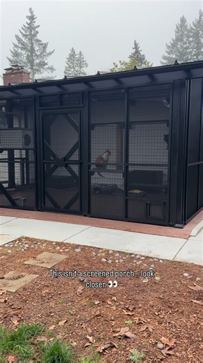 The Catio Company on Instagram: "More than a screen porch. This is what a catio looks like. 😺 #catio #cats #catenclosures #happycat"