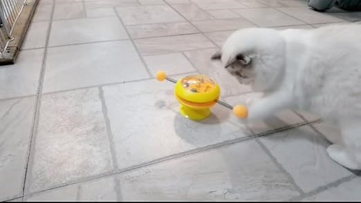 Interactive Rotary Cat Toy, Windmill Cat Toy
