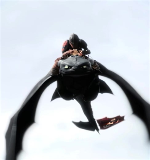 Hiccup's Journey in Part 2 of HTTYD