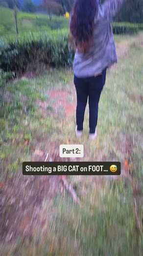 The best example of co-existence! 🐆🌿 Leopards have learned to thrive in and around the tea estates of southern India, moving silently through manicured plantations and forest edges. These adaptable big cats coexist alongside people, using the patchwork of tea bushes, shade trees and nearby forests as corridors for hunting and shelter, a powerful reminder of how resilient and awe-inspiring wildlife can be, even alongside us. To witness their presence so close to human civilisation felt like rar