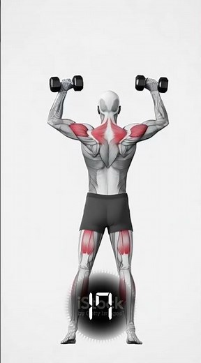 Développé Militaire avec Haltères #entrainementalamaison #shoulder #bodybuildinggym
