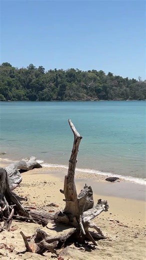 I Found a Secret, Untouched Beach in the Andaman Islands 🤫🌴